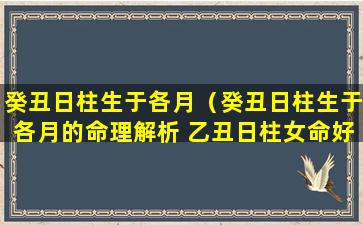 癸丑日柱生于各月（癸丑日柱生于各月的命理解析 乙丑日柱女命好不好）